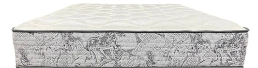 Mattress - Dreamline 9" Foam